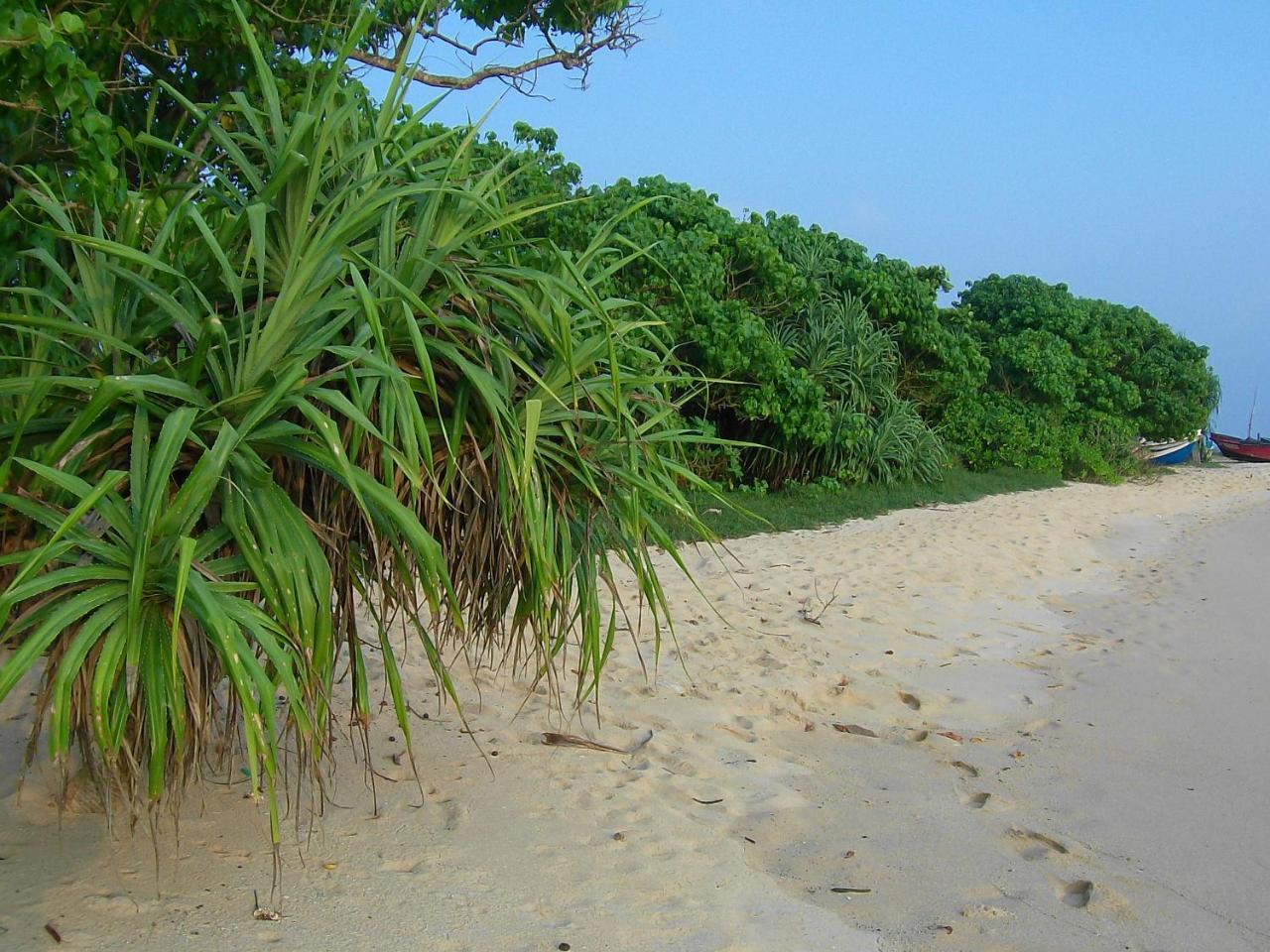 Mendis cottage Weligama Esterno foto